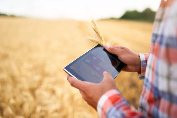 Přesné farmaření. Farmer hands hold tablet using online data management software with maps at wheat field. Agronomista pracující s dotykovým počítačem pro řízení a analýzu zemědělského podnikání. — Stock fotografie