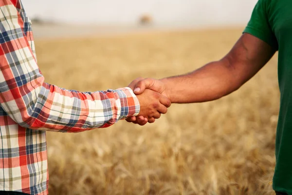 Farmer and agronomist shaking hands standing in a wheat field after agreement. Agriculture business contract concept. Combine harvester driver and rancher negotiate on harvesting season. Handshake
