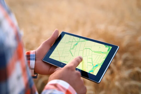 Rolnictwo precyzyjne. Rolnicy trzymają tablet za pomocą oprogramowania do zarządzania danymi online z mapami na polu pszenicy. Agronomist pracuje z ekranem dotykowym do kontroli i analizy działalności rolniczej. — Zdjęcie stockowe