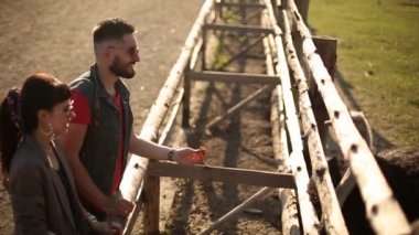 Güneşli bir akşamda kümes hayvanları çiftliğinde devekuşunu besleyen genç bir çift. Adam deve kuşunu havuçla besliyor. Erkek arkadaşı ve kız arkadaşı boş vakitlerinde hayvanat bahçesinde eğleniyor. Yavaş çekim.