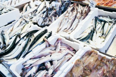 Deniz ürünleri pazarında taze balık.