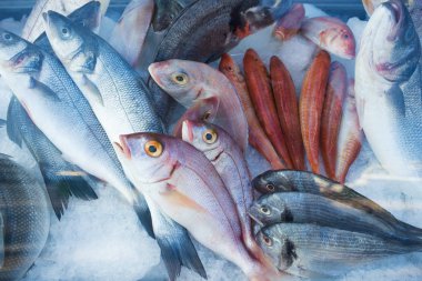 Taze balık, deniz ürünleri Mağazası.