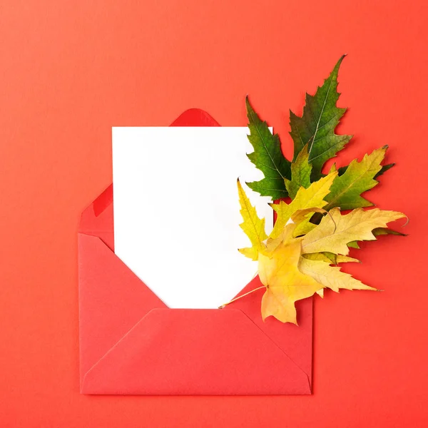 Herfstbladeren in envelop. — Stockfoto