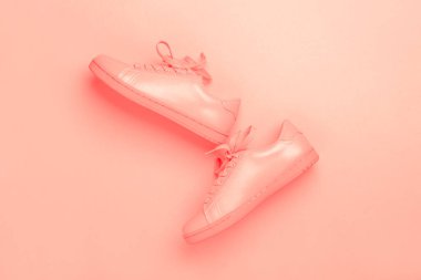 Bir çift mercan arka plan üzerinde mercan Ayakkabı.