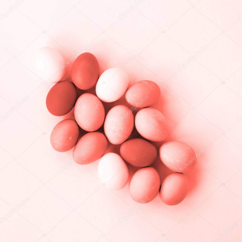Chicken eggs toned in Living Coral color. Color of the year 2019. Top view.