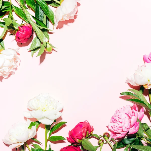 Fondo de flores creativas en rosa . —  Fotos de Stock