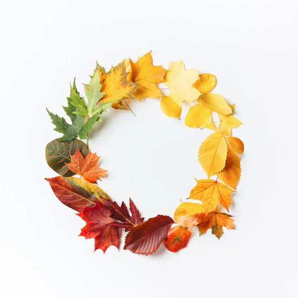 Corona hecha de hojas de otoño sobre fondo blanco . — Foto de Stock