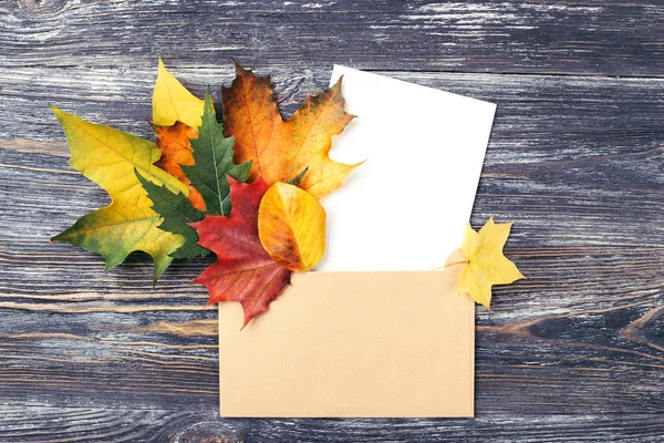 Hojas de otoño y tarjeta en sobre . — Foto de Stock