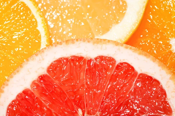 Mix of citrus fruit slices. — Stock Photo, Image