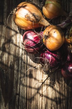 Ahşap arka planda kırmızı ve sarı soğan hasat edildi..