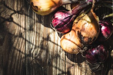 Ahşap arka planda kırmızı ve sarı soğan hasat edildi..