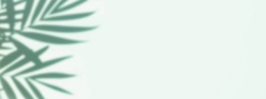 Arka planda palmiye yapraklarının gölgeleri olan pankart. Boşluğu kopyala.