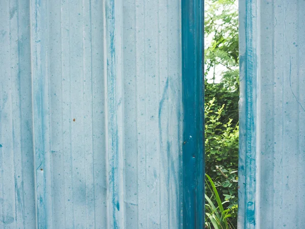 Синий Дешевый Цинковый Забор Растениями Растущими Позади — стоковое фото