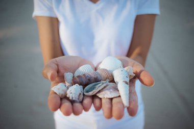 Asyalı kadın çeşitli deniz kabukları onun elinde tutan.