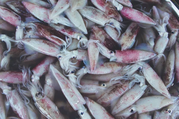 Calamares Frescos Crudos Venden Mercado Local Fresco Tailandia — Foto de Stock