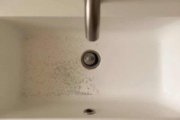 Ξυρισμένο Τρίχας Στην Λευκή Κεραμική Λεκάνη Στο Μπάνιο — Φωτογραφία Αρχείου