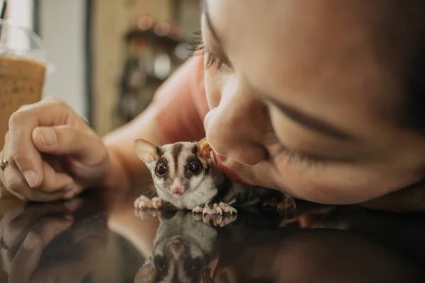 Close-up van aziatische vrouw met haar suiker glider huisdier. — Stockfoto