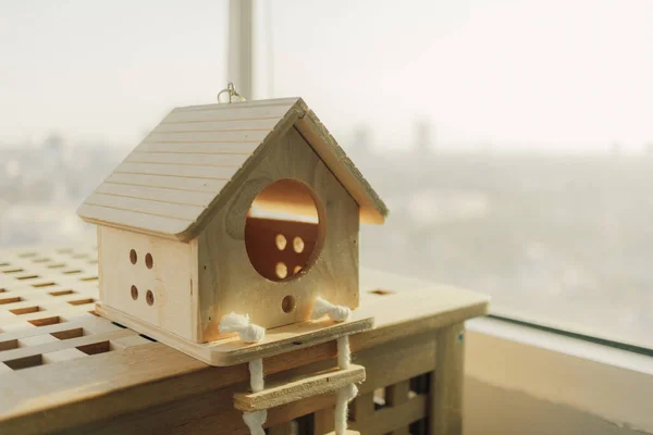 Pequena casa de madeira para pequeno animal de estimação no conceito de compra de casa de sonho . — Fotografia de Stock