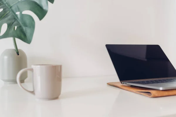 Espacio de trabajo mínimo portátil con decoración de plantas y café. —  Fotos de Stock