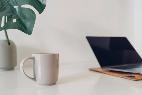 Espacio de trabajo mínimo portátil con decoración de plantas y café. —  Fotos de Stock