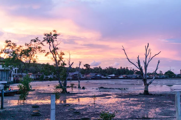 Roze en blauwe schemering hemel van laagwater strand. — Stockfoto