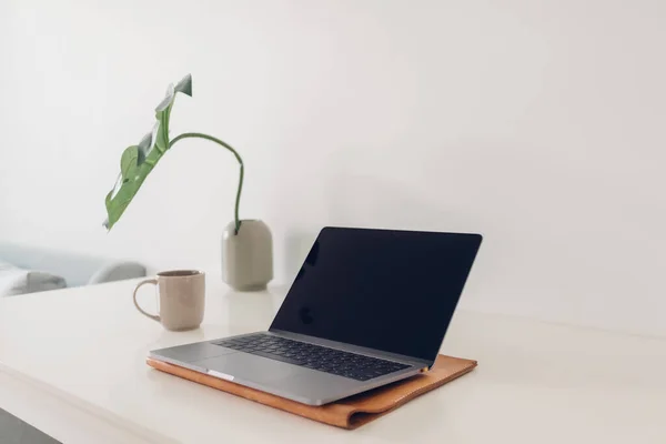 Minimaler Laptop-Arbeitsplatz mit Pflanzendekoration und Kaffee. — Stockfoto