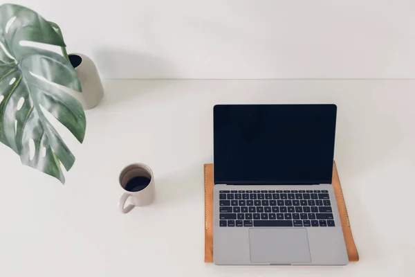 Espacio de trabajo mínimo portátil con decoración de plantas y café. — Foto de Stock