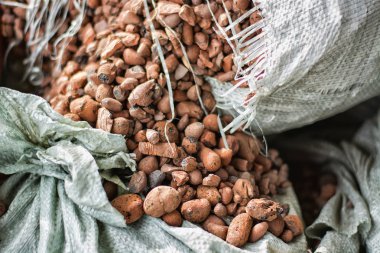 Taşlar, taşlar, genişletilmiş kil çıkarma.