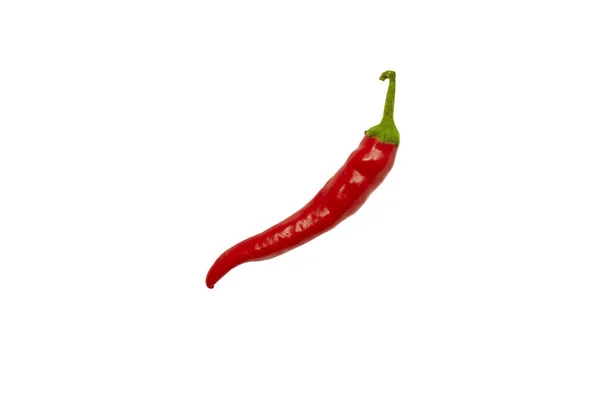 Een rode chili peper dicht omhoog, geïsoleerd — Stockfoto