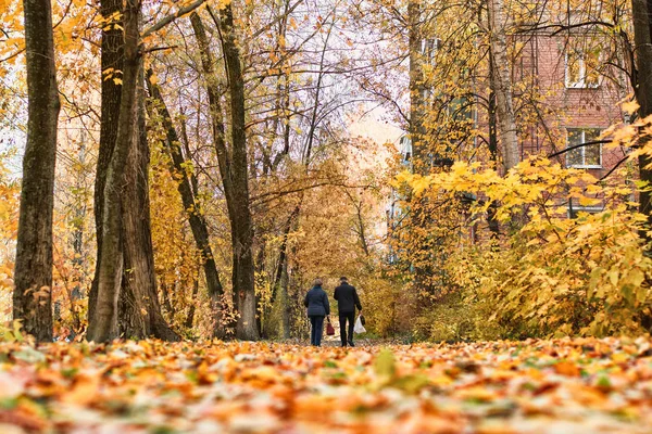 Para starszych ludzi spacerujących wzdłuż drogi jesień w parku — Zdjęcie stockowe