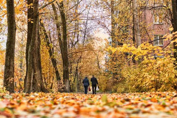 pair of elderly people are walking along the autumn road in the park