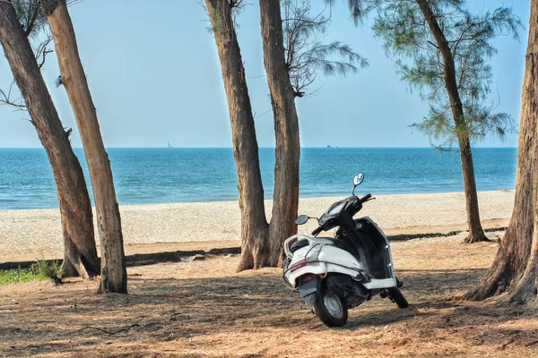 Motorka na pláži v deštném pralese. Indie, Goa — Stock fotografie