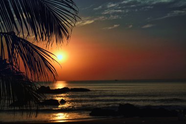 Günbatımı bir palmiye ağacı ve yalnız bir kız silüeti yoluyla denizlerde