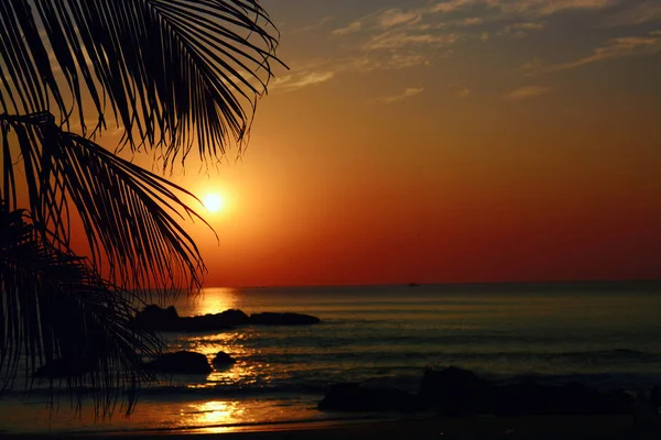 Puesta de sol en el mar a través de la silueta de las palmeras — Foto de Stock