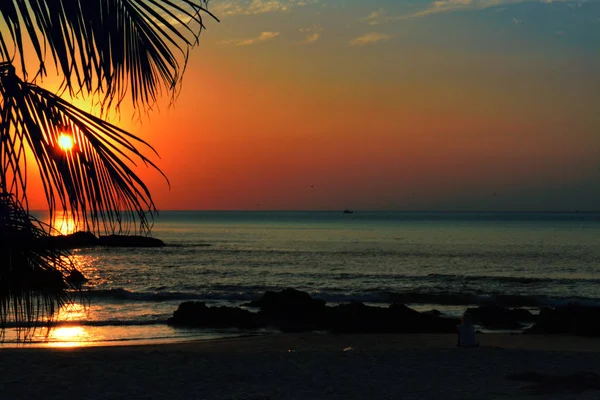 Puesta de sol en el mar a través de la silueta de una palmera y una chica solitaria — Foto de Stock