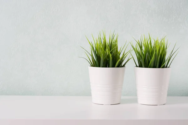 Suculentas em vaso de concreto branco. Quarto escandinavo decoração de interiores — Fotografia de Stock