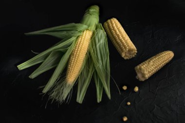 Koçanda taze mısır ve çimento arka planda tohumlar.