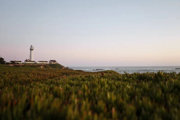 Green Grass Bathes Rays Setting Sun Waves Pacific Ocean Break — Stock Photo, Image