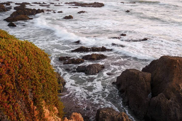 Waves and cliffs of the Pacific Ocean with coastline and green grass in the light of the setting sun. Powerful ocean current with white foam from the waves breaking on the shore. Landscape of the sea coast