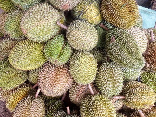Fruto Duriano Grandes Cantidades Algunos Son Verdes Algunos Son Amarillos —  Fotos de Stock