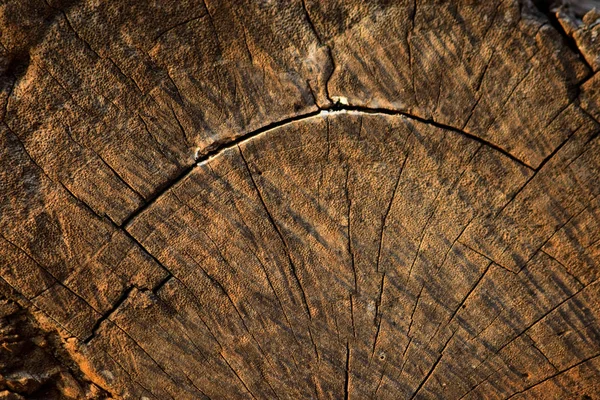 koyu kahverengi ahşap bölünmüş ayrıntılı doku