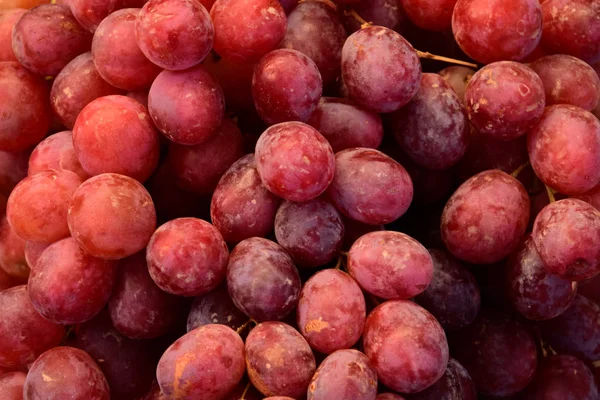 Druiven Markt Verse Druiven Klaar Eten Rode Druiven Stockfoto
