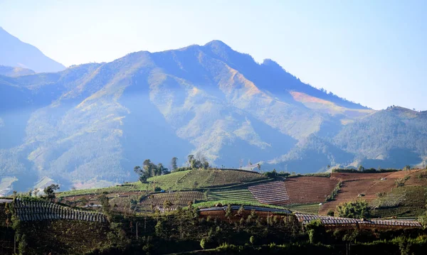 Prau Dağı - Endonezya 'daki dağların ve yaylaların manzarası