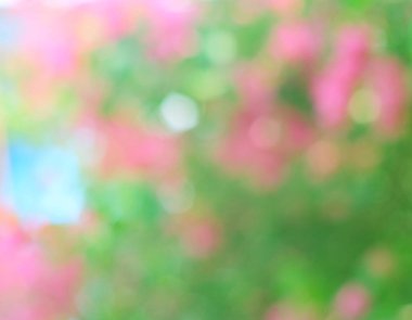 Renkli bokeh arka plan, doğal Bokeh, güzel bokeh soyut. Bulanık Noel bokeh arka plan.