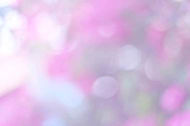 Soyut pembe Bokeh arka plan, doğal Bokeh, parlak ışık Defocused ve bulanık Bokeh daireler