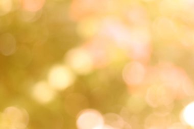 Soyut sarı Bokeh arka plan, doğal Bokeh, parlak ışık Defocused ve bulanık Bokeh daireler