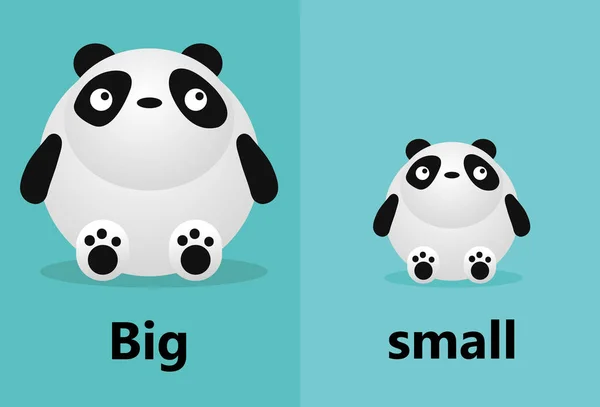 Big Small English Words Big Small White Background Teddy ... Big Small English Words Big Small White Background Teddy ...