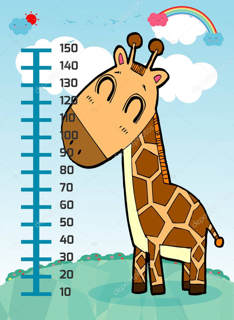 Meter wall with giraffe. Cheerful funny giraffe height. wall height meter with cute smiling african animal.vector illustration.