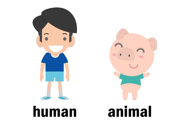 Ilustración Vectores Humanos Animales Opuestos Palabras Inglés Opuestas Ilustración Vectores — Archivo Imágenes Vectoriales