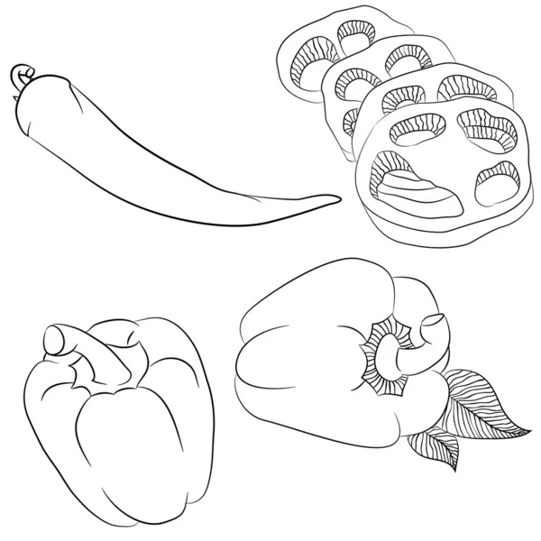 Разнообразный перец — стоковый вектор